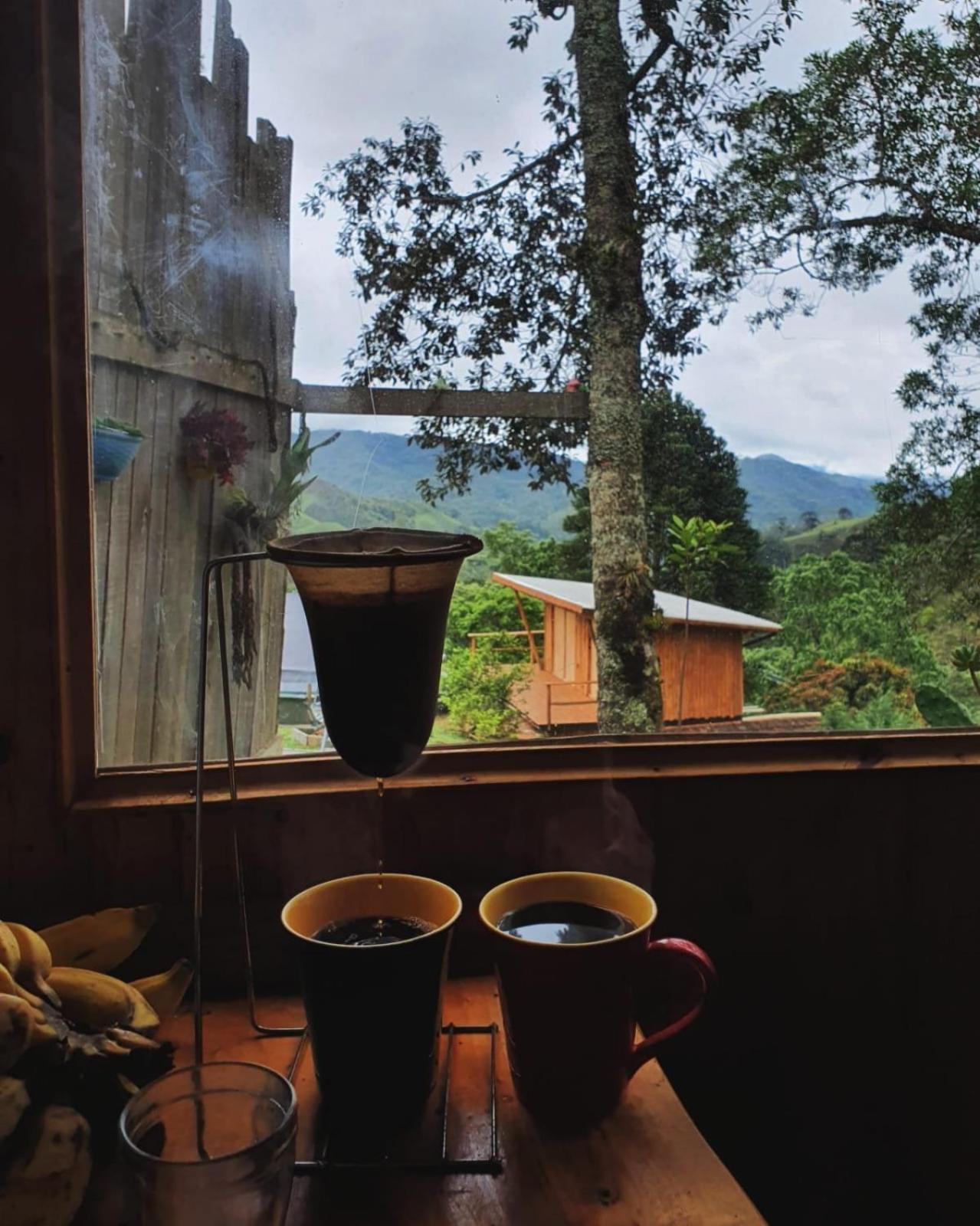 Chale Madeira Rustica Chalet *